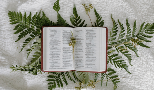 Encouraging Good Morning Bible Verses 